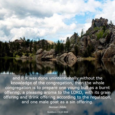 Picture 03 - Numbers 15:24 BSB - and if it was done unintentionally without the - Bible Verse Picture