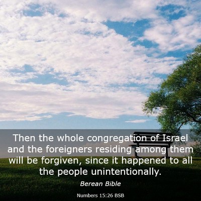 Picture 03 - Numbers 15:26 BSB - Then the whole congregation of Israel and the - Bible Verse Picture