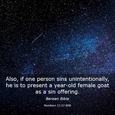 Picture 03 - Numbers 15:27 BSB - Also, if one person sins unintentionally, he is - Bible Verse Picture