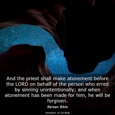 Picture 03 - Numbers 15:28 BSB - And the priest shall make atonement before the - Bible Verse Picture