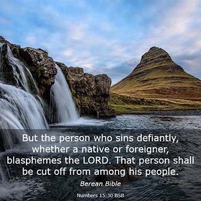 Picture 03 - Numbers 15:30 BSB - But the person who sins defiantly, whether a - Bible Verse Picture