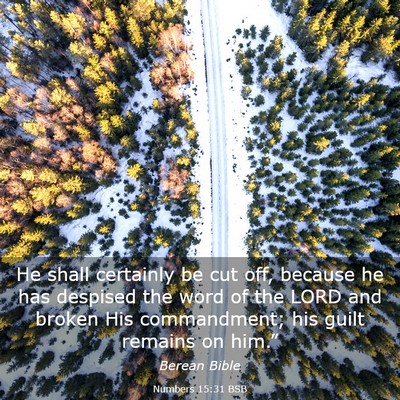 Picture 03 - Numbers 15:31 BSB - He shall certainly be cut off, because he has - Bible Verse Picture