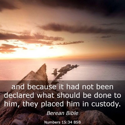 Picture 03 - Numbers 15:34 BSB - and because it had not been declared what should - Bible Verse Picture