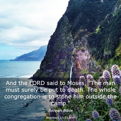 Picture 03 - Numbers 15:35 BSB - And the LORD said to Moses, “The man must - Bible Verse Picture