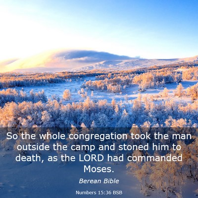 Picture 03 - Numbers 15:36 BSB - So the whole congregation took the man outside - Bible Verse Picture