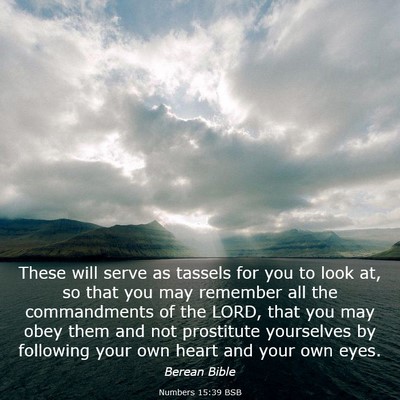 Picture 03 - Numbers 15:39 BSB - These will serve as tassels for you to look at, - Bible Verse Picture
