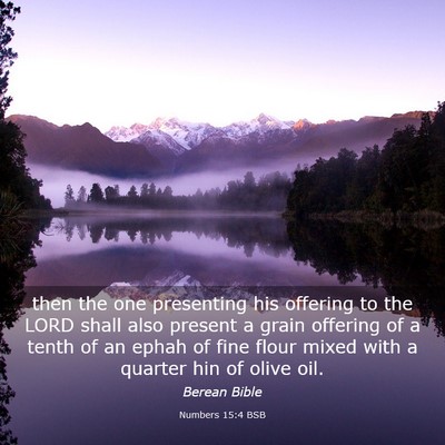 Picture 03 - Numbers 15:4 BSB - then the one presenting his offering to the LORD - Bible Verse Picture