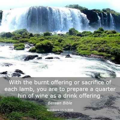 Picture 03 - Numbers 15:5 BSB - With the burnt offering or sacrifice of each - Bible Verse Picture