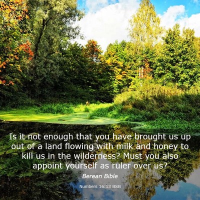 Picture 03 - Numbers 16:13 BSB - Is it not enough that you have brought us up out - Bible Verse Picture