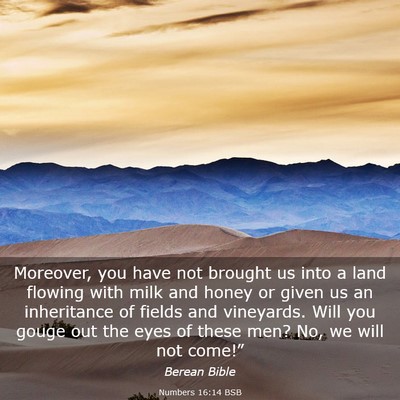 Picture 03 - Numbers 16:14 BSB - Moreover, you have not brought us into a land - Bible Verse Picture