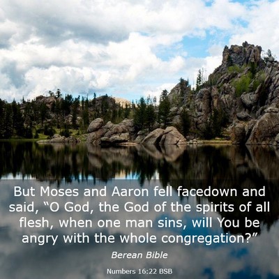 Picture 03 - Numbers 16:22 BSB - But Moses and Aaron fell facedown and said, “O - Bible Verse Picture