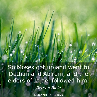 Picture 03 - Numbers 16:25 BSB - So Moses got up and went to Dathan and Abiram, - Bible Verse Picture