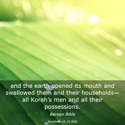 Picture 03 - Numbers 16:32 BSB - and the earth opened its mouth and swallowed them - Bible Verse Picture