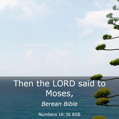 Picture 03 - Numbers 16:36 BSB - Then the LORD said to - Bible Verse Picture