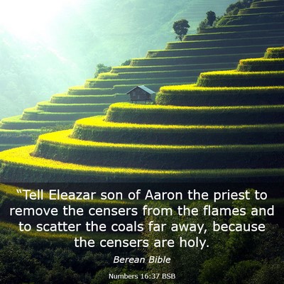 Picture 03 - Numbers 16:37 BSB - “Tell Eleazar son of Aaron the priest to remove - Bible Verse Picture