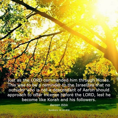Picture 03 - Numbers 16:40 BSB - just as the LORD commanded him through Moses. - Bible Verse Picture