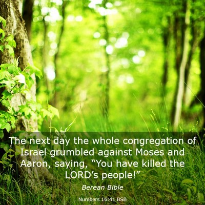 Picture 03 - Numbers 16:41 BSB - The next day the whole congregation of Israel - Bible Verse Picture