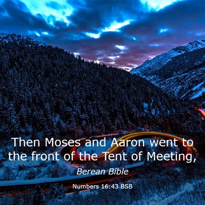 Picture 03 - Numbers 16:43 BSB - Then Moses and Aaron went to the front of the - Bible Verse Picture