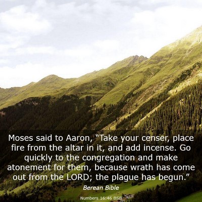Picture 03 - Numbers 16:46 BSB - Moses said to Aaron, “Take your censer, place - Bible Verse Picture