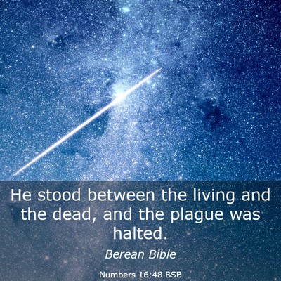 Picture 03 - Numbers 16:48 BSB - He stood between the living and the dead, and the - Bible Verse Picture