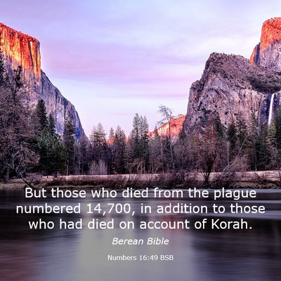 Picture 03 - Numbers 16:49 BSB - But those who died from the plague numbered - Bible Verse Picture