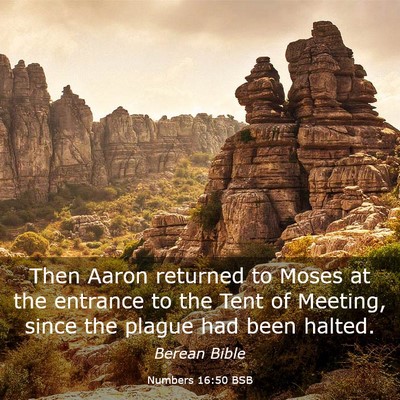 Picture 03 - Numbers 16:50 BSB - Then Aaron returned to Moses at the entrance to - Bible Verse Picture