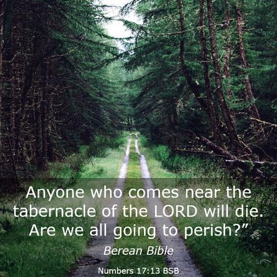 Picture 03 - Numbers 17:13 BSB - Anyone who comes near the tabernacle of the LORD - Bible Verse Picture