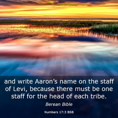 Picture 03 - Numbers 17:3 BSB - and write Aaron’s name on the staff of Levi, - Bible Verse Picture