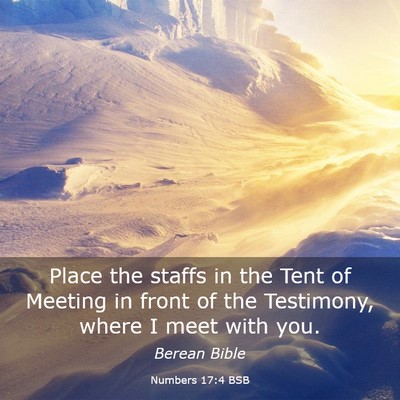 Picture 03 - Numbers 17:4 BSB - Place the staffs in the Tent of Meeting in front - Bible Verse Picture