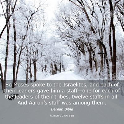 Picture 03 - Numbers 17:6 BSB - So Moses spoke to the Israelites, and each of - Bible Verse Picture