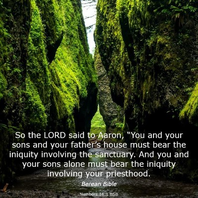 Picture 03 - Numbers 18:1 BSB - So the LORD said to Aaron, “You and your sons - Bible Verse Picture