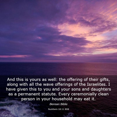 Picture 03 - Numbers 18:11 BSB - And this is yours as well: the offering of their - Bible Verse Picture