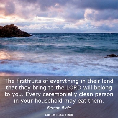 Picture 03 - Numbers 18:13 BSB - The firstfruits of everything in their land that - Bible Verse Picture