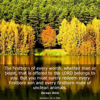Picture 03 - Numbers 18:15 BSB - The firstborn of every womb, whether man or - Bible Verse Picture