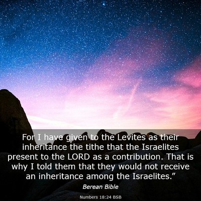 Picture 03 - Numbers 18:24 BSB - For I have given to the Levites as their - Bible Verse Picture