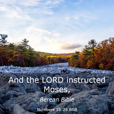 Picture 03 - Numbers 18:25 BSB - And the LORD instructed - Bible Verse Picture