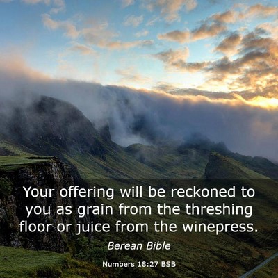 Picture 03 - Numbers 18:27 BSB - Your offering will be reckoned to you as grain - Bible Verse Picture