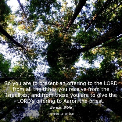 Picture 03 - Numbers 18:28 BSB - So you are to present an offering to the LORD - Bible Verse Picture