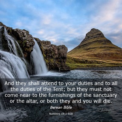 Picture 03 - Numbers 18:3 BSB - And they shall attend to your duties and to all - Bible Verse Picture
