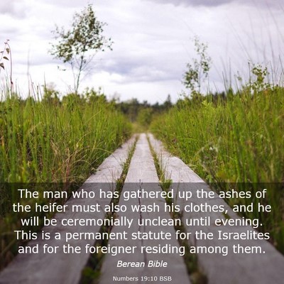 Picture 03 - Numbers 19:10 BSB - The man who has gathered up the ashes of the - Bible Verse Picture