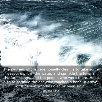 Picture 03 - Numbers 19:18 BSB - Then a man who is ceremonially clean is to take - Bible Verse Picture