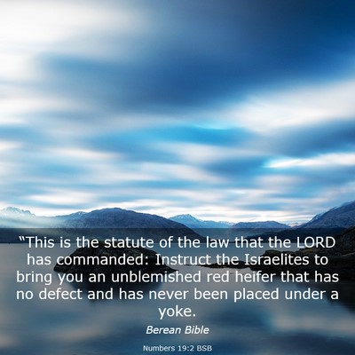 Picture 03 - Numbers 19:2 BSB - “This is the statute of the law that the LORD - Bible Verse Picture