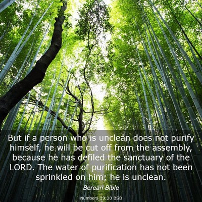 Picture 03 - Numbers 19:20 BSB - But if a person who is unclean does not purify - Bible Verse Picture