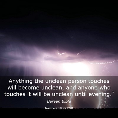 Picture 03 - Numbers 19:22 BSB - Anything the unclean person touches will become - Bible Verse Picture