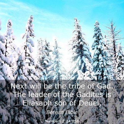 Picture 03 - Numbers 2:14 BSB - Next will be the tribe of Gad. The leader of the - Bible Verse Picture
