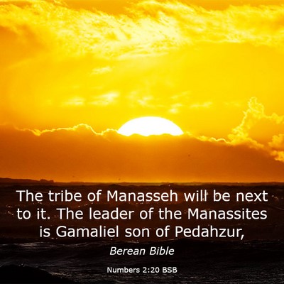 Picture 03 - Numbers 2:20 BSB - The tribe of Manasseh will be next to it. The - Bible Verse Picture