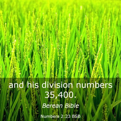 Picture 03 - Numbers 2:23 BSB - and his division numbers - Bible Verse Picture