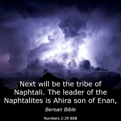 Picture 03 - Numbers 2:29 BSB - Next will be the tribe of Naphtali. The leader of - Bible Verse Picture