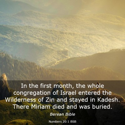 Picture 03 - Numbers 20:1 BSB - In the first month, the whole congregation of - Bible Verse Picture