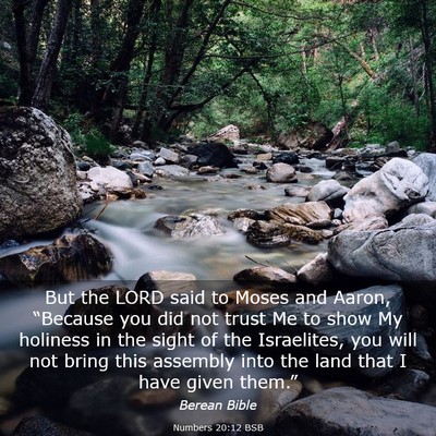 Picture 03 - Numbers 20:12 BSB - But the LORD said to Moses and Aaron, “Because - Bible Verse Picture